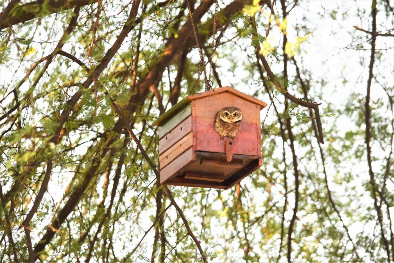 Ranthambhore Bagh Dwar Camp Apartamento Khilchīpur Exterior foto